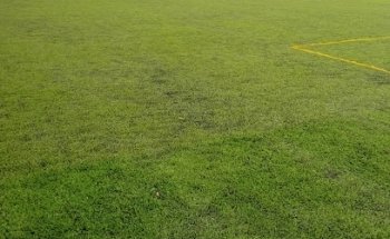 Club Rinconada
