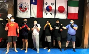 Knockout Sport