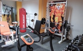 Personal Trainer Limitada