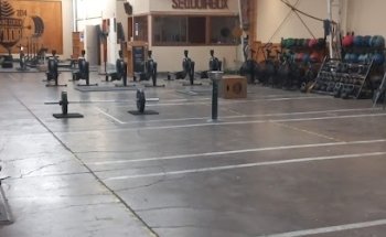 Sequoia Box