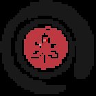 SANTIAGO KYUDO KAI CHILE