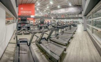 Bodytech Portal 80
