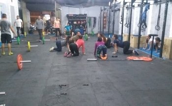 House Box Training