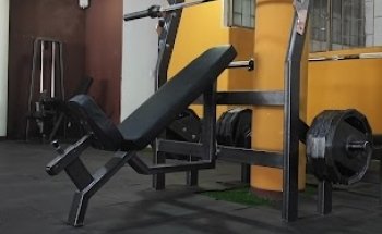 Grizzly gym