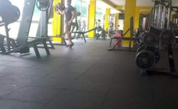 BODY TRAINING FITNESS