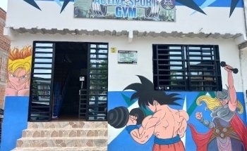 Active Sport GYM