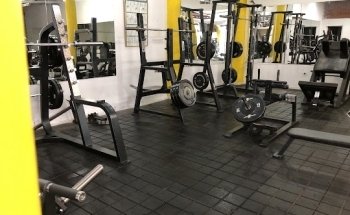 Mega Gym