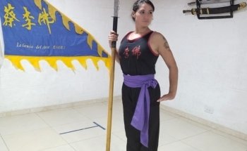 Escuela De Artes Marciales chinas Choy Lee Fut Shan Long