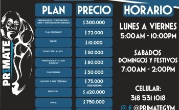 Primate Gym