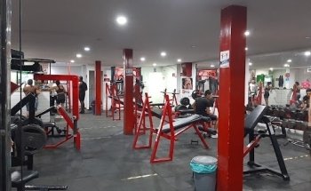 Gym Health & Fitness