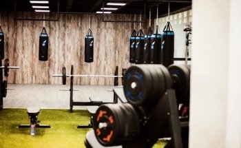 BodyFactory3