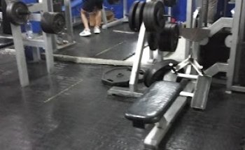Gimnasio Ludus