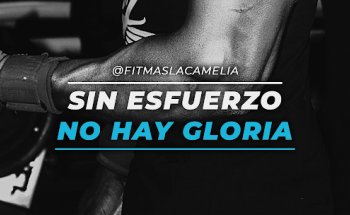 Fit más La Camelia