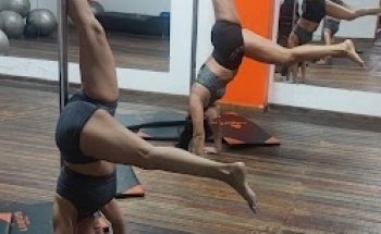 Ludus GYM