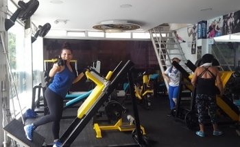 Gym Sport Well+Fit
