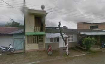 Pitbull's GYM