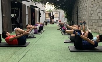 Bestial Training Gym