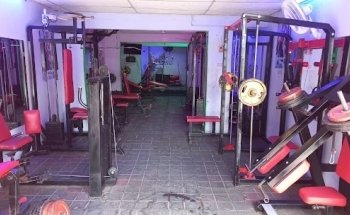 Gym Body Perfect Fitness