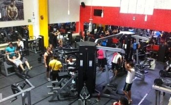 Gimnasio Fitness