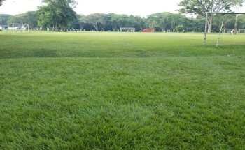 Centro Campestre Comfandi Pance