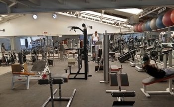 Gym Sport Body