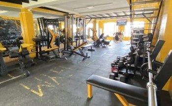 Meta Gym