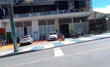 Force GYM - Sede Altavista