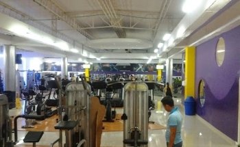 AF GYM