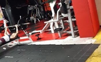 Fortex Muscle