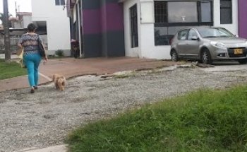 Gimasio Zona Fitness
