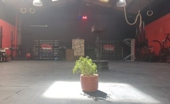 Elite Training