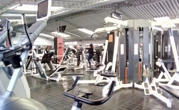 SPORT BODY