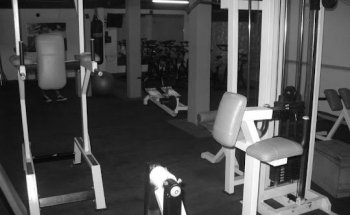 Gimnasio Vida training