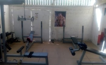 MAYA GYM