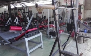 Gimnasio Bulldog King