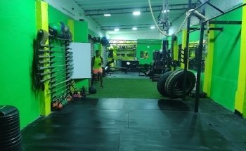 Allan Fit