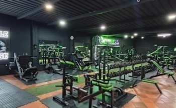 POWER FUL GYM MUSCLE HOUSE