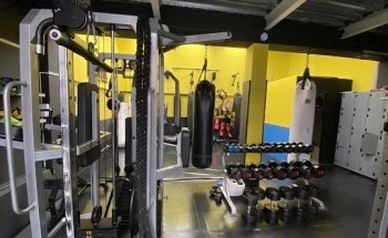 To Wild Gym