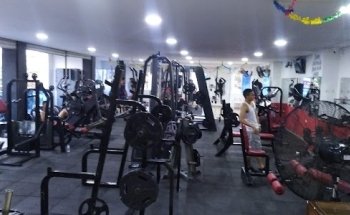 Gym Program Steps