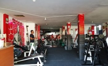 The Rock Gym