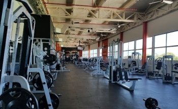 Bodytech Mayales