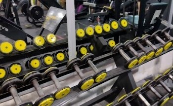 MUSCLE POWER GYM
