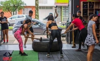 Wolf Training Revolution