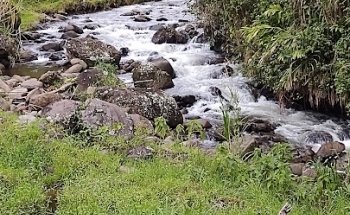 Parque recreativo al aire libre