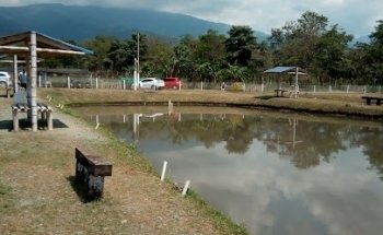 Aguaclara,vía Pradera