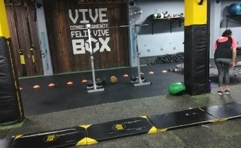 Training Box Premium
