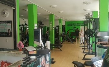 Masterfit