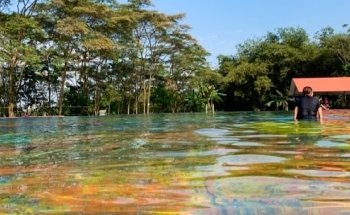 Piscilago- Lago La Ceiba