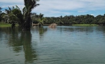 Caño Recreativo Esmeralda