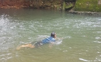 Caño Recreativo Chocho